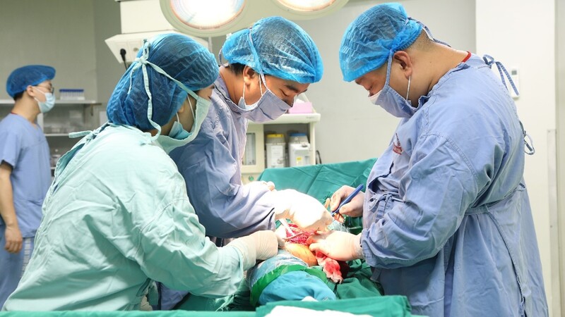 Bệnh viện đa khoa tỉnh Phú Thọ 12 da chan thuong 1