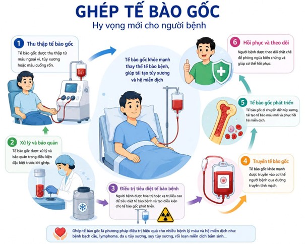 Bệnh viện đa khoa tỉnh Phú Thọ 10 ghep te bao goc 1 1